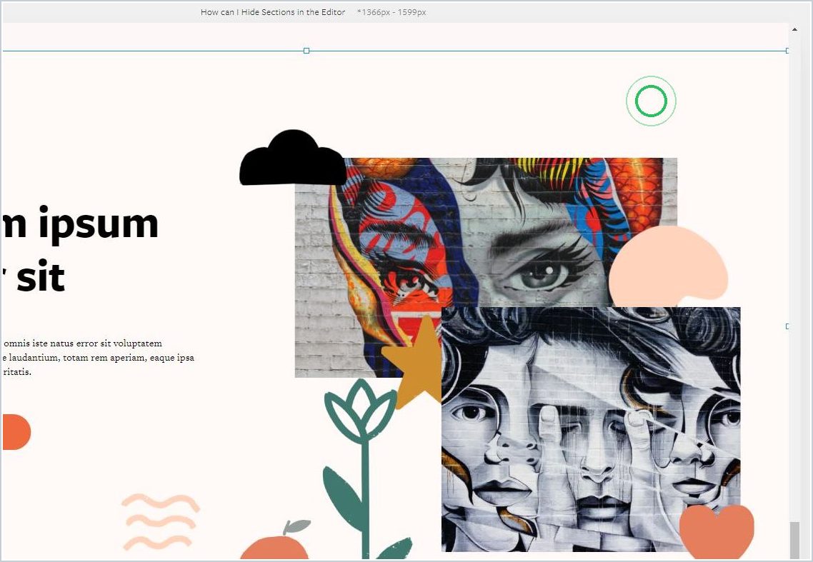 How can I Hide Sections in the Editor — step 1