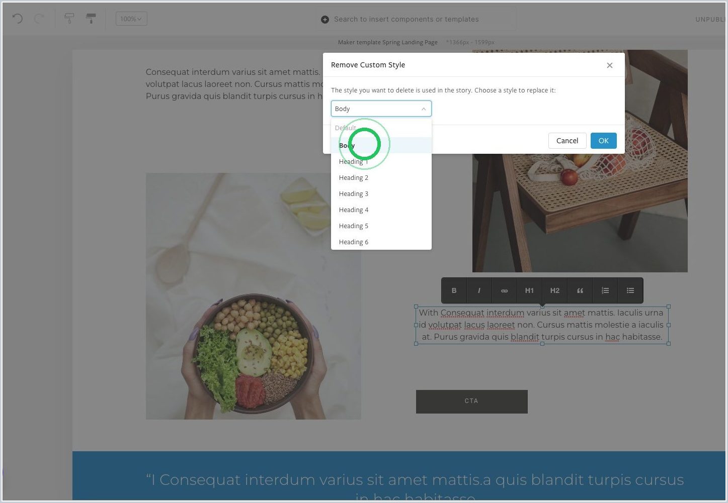 How do I create, replace, delete, or name a custom style in my Maker story? — step 11