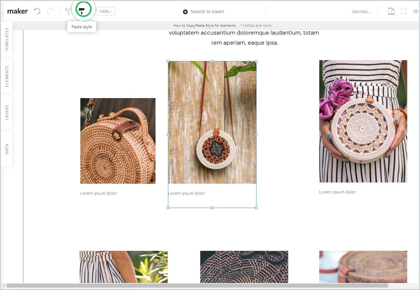 How to Copy/Paste Style for elements — step 5