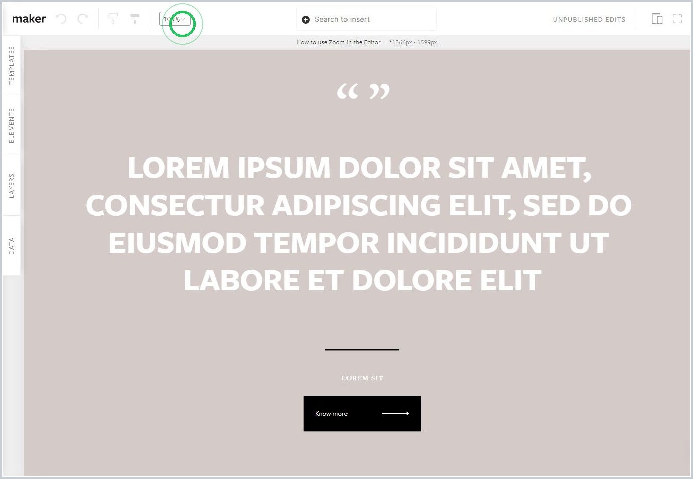 How to use Zoom in the Editor — step 1